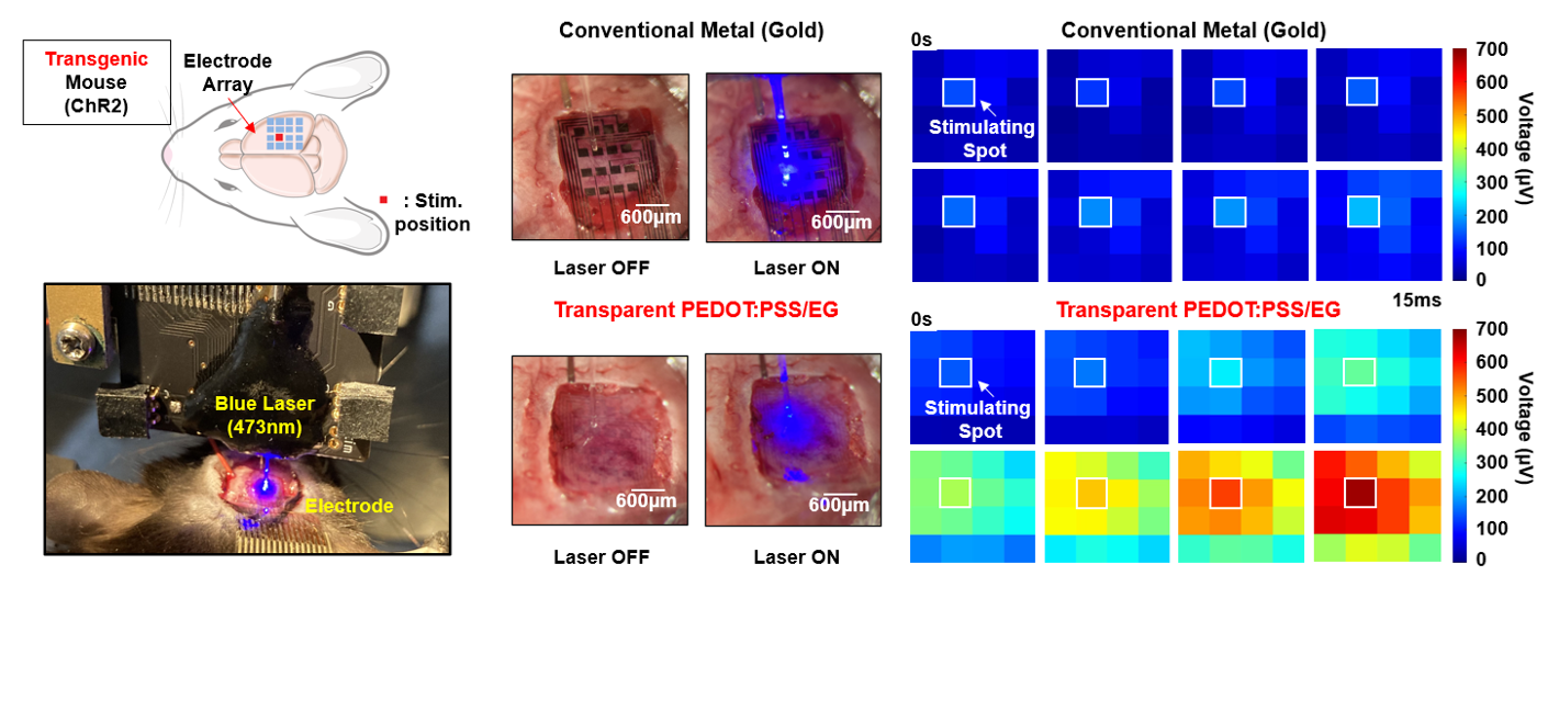 Biomedical System Lab (BSL) 대표이미지