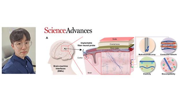 INU Professor Cho Young-wook’s Research Team Develops Metal-Free, All-Organic Implantable Microfiber Electrodes for Neural Interfaces main image